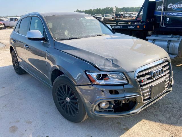 Audi Sq5 (2015)