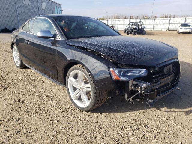 Audi S5 (2013)