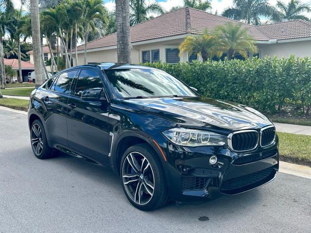 Bmw X6 m (2015)