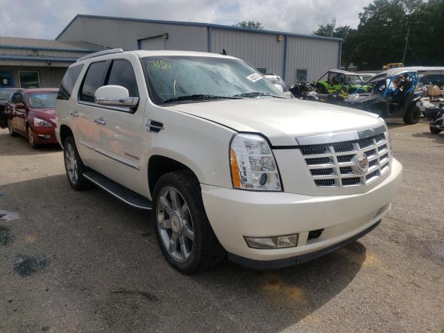 Cadillac Escalade l (2012)