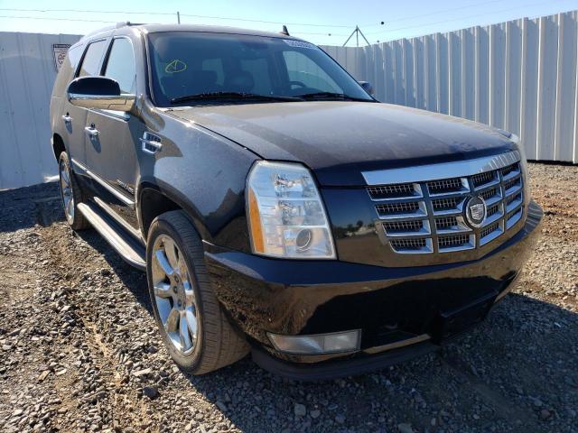 Cadillac Escalade l (2010)