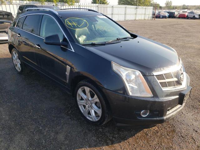 Cadillac Srx perfor (2011)