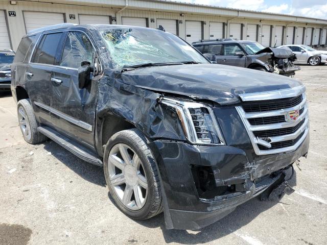 Cadillac Escalade l (2019)