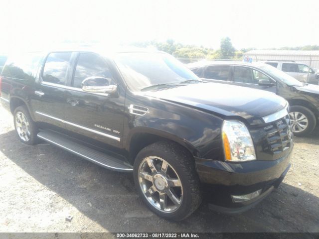 Cadillac Escalade esv (2011)