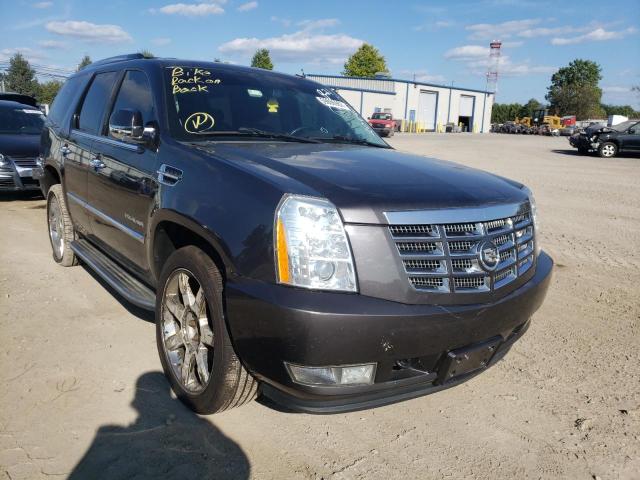 Cadillac Escalade l (2010)