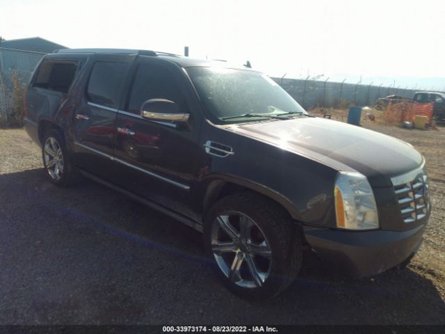 Cadillac Escalade esv (2011)
