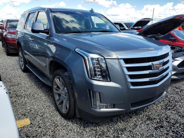 Cadillac Escalade l (2019)