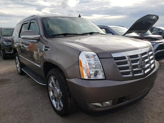 Cadillac Escalade l (2012)