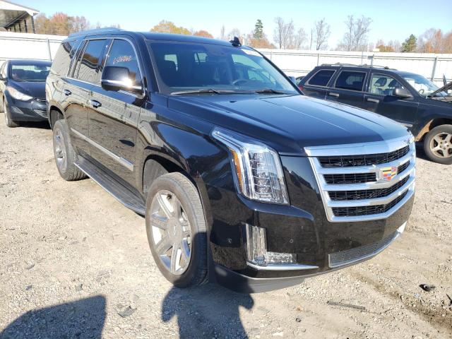 Cadillac Escalade l (2019)