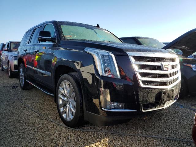 Cadillac Escalade l (2019)