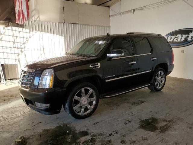 Cadillac Escalade l (2012)