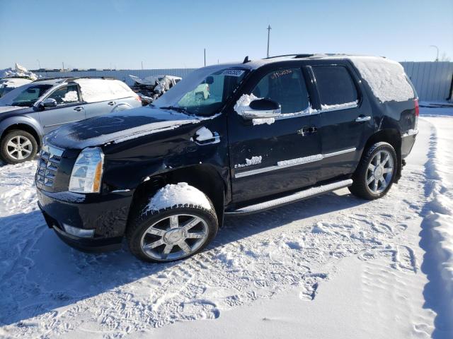 Cadillac Escalade l (2011)
