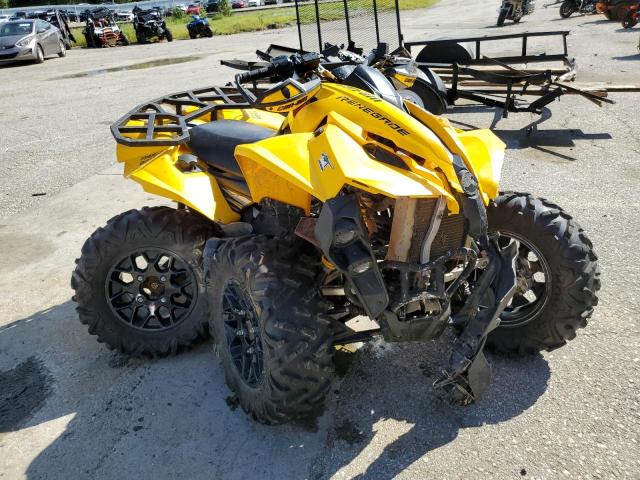 Can-am Renegade (2010)