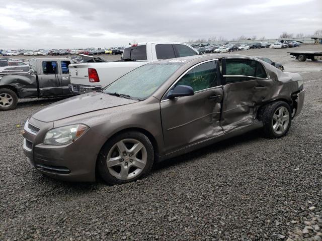 Chevrolet Malibu ls (2010)