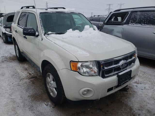Ford Escape xlt (2010)