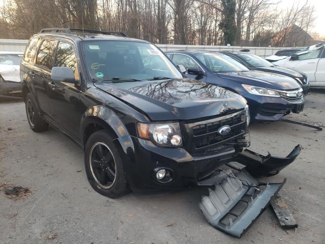 Ford Escape xlt (2011)