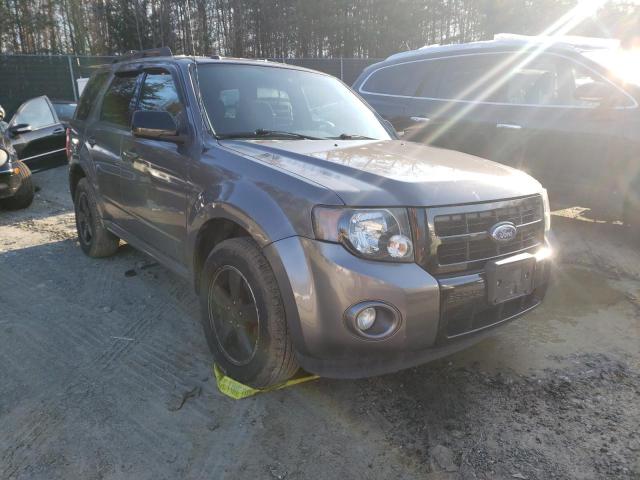 Ford Escape xlt (2011)