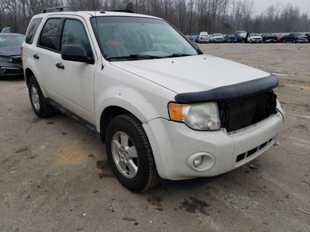 Ford Escape xlt (2011)