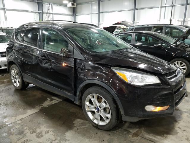 Ford Escape sel (2013)
