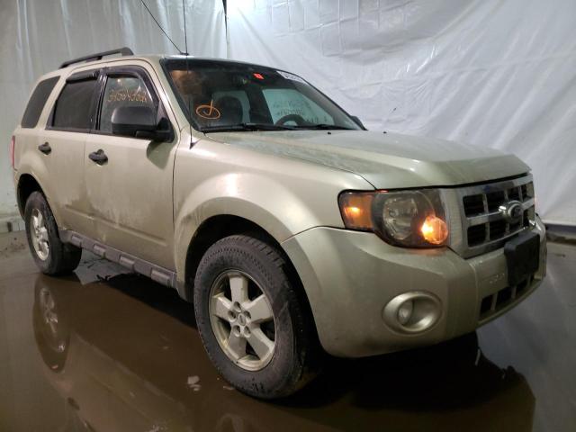 Ford Escape xlt (2010)