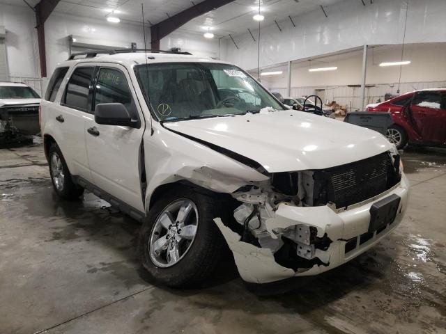 Ford Escape xlt (2010)