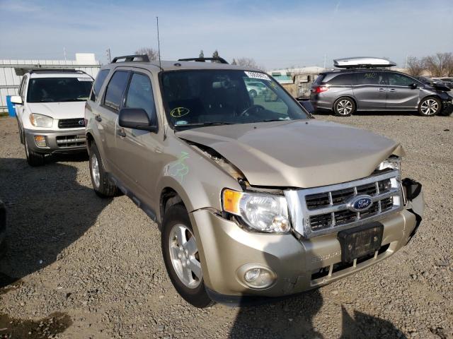 Ford Escape xlt (2012)