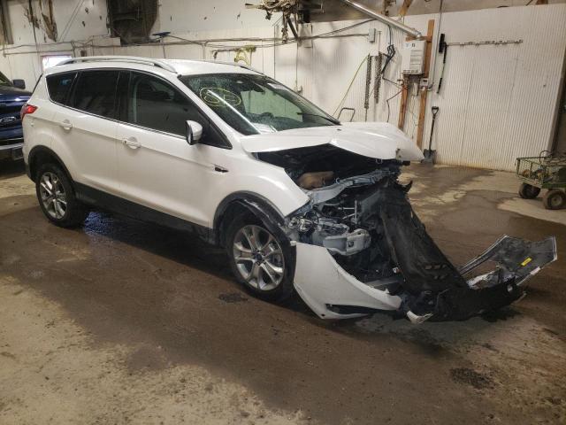 Ford Escape tit (2014)