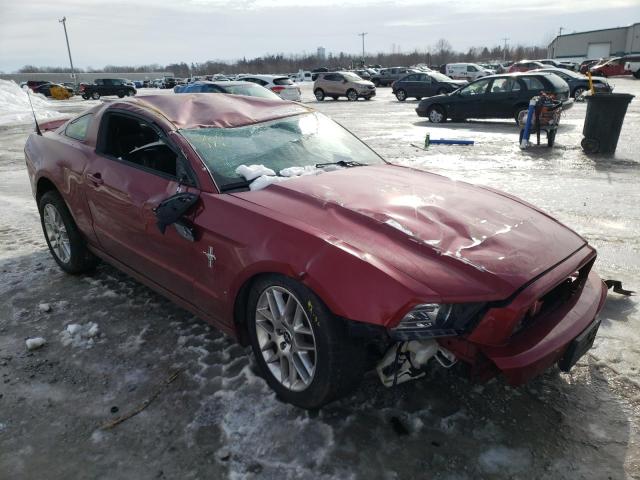 Ford Mustang (2014)