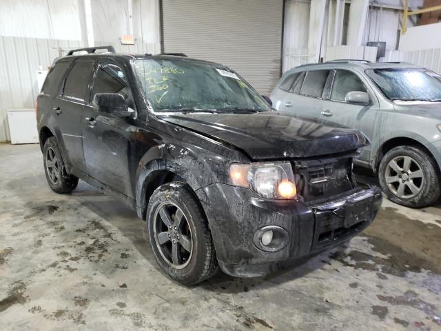 Ford Escape xlt (2010)