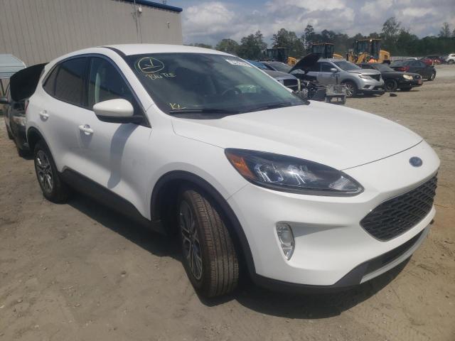 Ford Escape sel (2022)