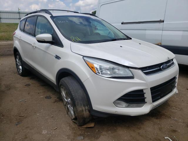 Ford Escape sel (2013)