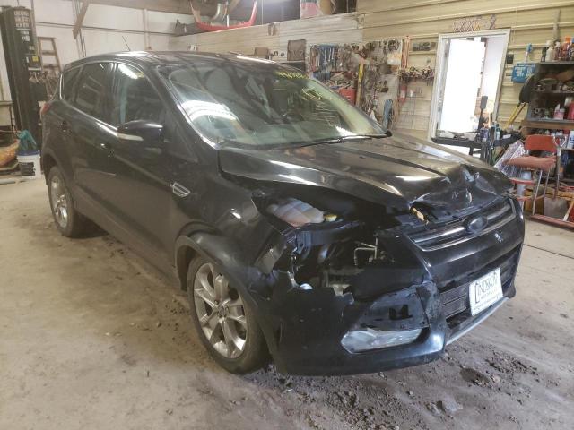 Ford Escape sel (2013)