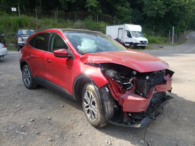 Ford Escape sel (2020)