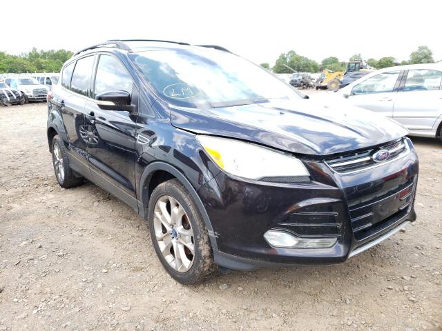 Ford Escape sel (2013)