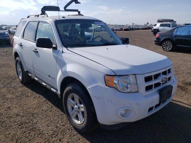 Ford Escape hyb (2010)
