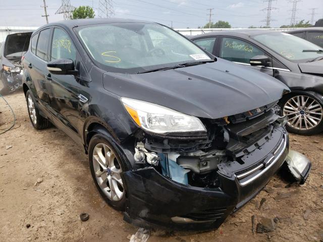 Ford Escape sel (2013)