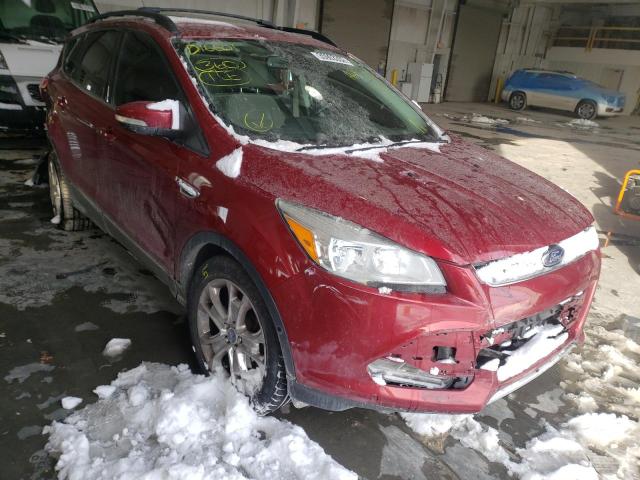 Ford Escape sel (2013)