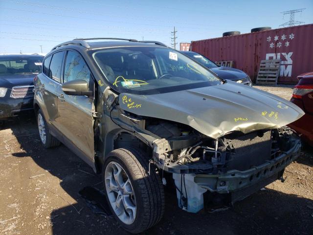 Ford Escape tit (2013)