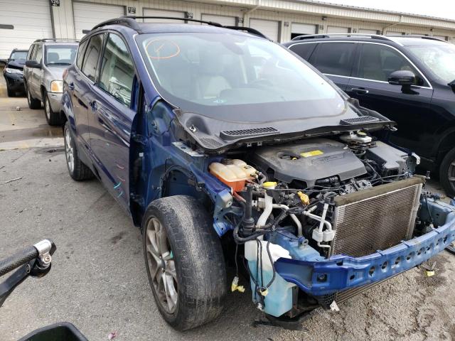 Ford Escape sel (2013)