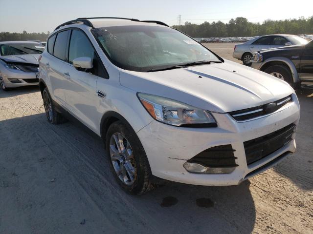 Ford Escape sel (2013)