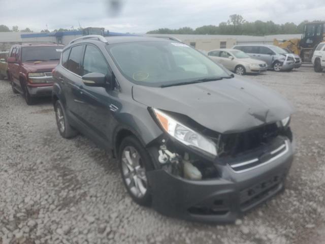 Ford Escape tit (2014)