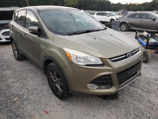 Ford Escape sel (2013)