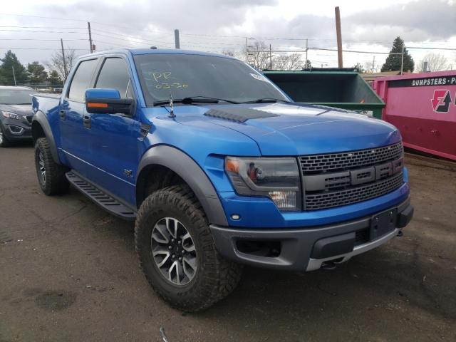 Ford F 150 (2013)