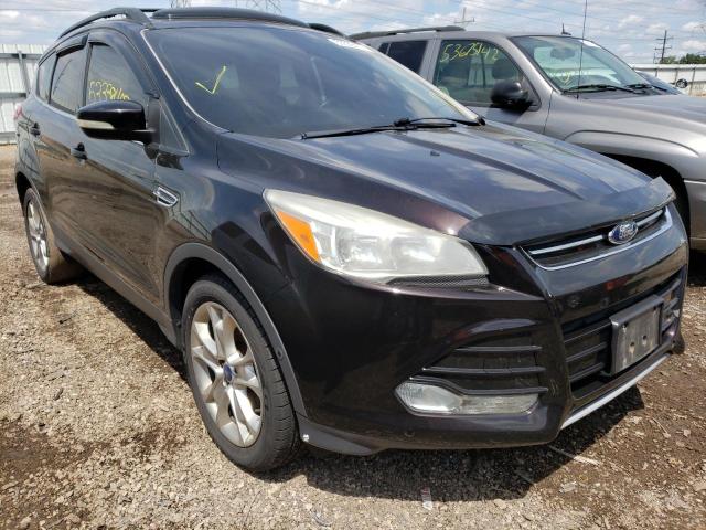 Ford Escape sel (2013)