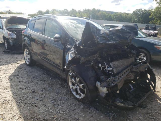 Ford Escape tit (2013)