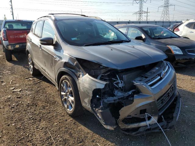 Ford Escape tit (2014)