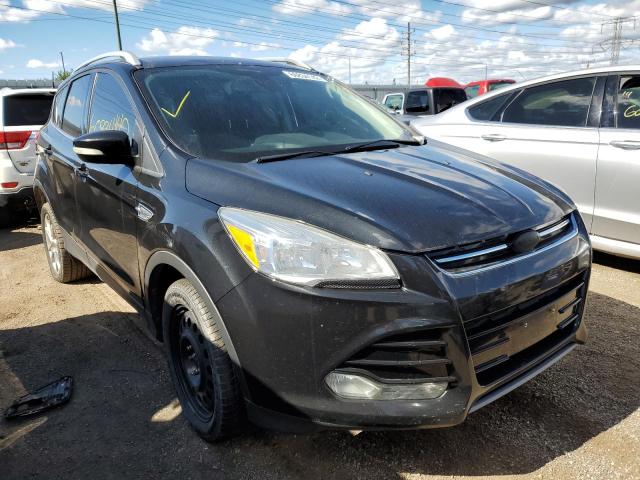 Ford Escape tit (2014)
