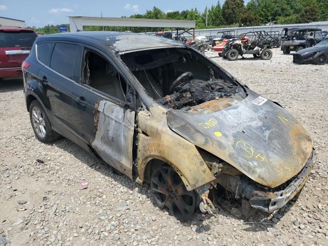 Ford Escape sel (2013)