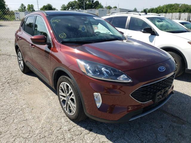 Ford Escape sel (2021)