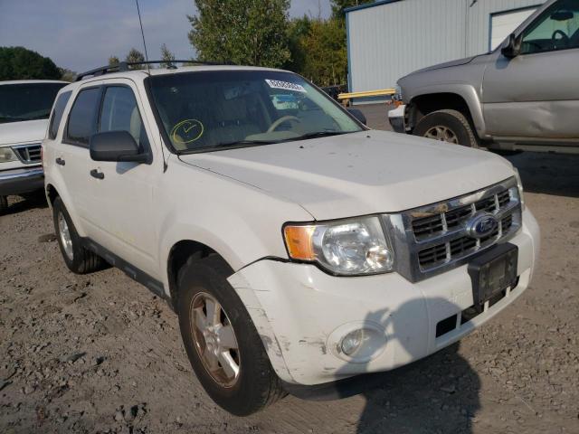 Ford Escape xlt (2010)
